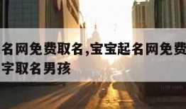 宝宝起名网免费取名,宝宝起名网免费取名字生辰八字取名男孩