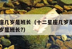 十二星座几岁是班长（十二星座几岁是班长巨蟹座几岁是班长?）