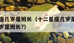 十二星座几岁是班长（十二星座几岁是班长巨蟹座几岁是班长?）