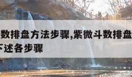 紫微斗数排盘方法步骤,紫微斗数排盘步骤总表 按下述各步骤