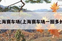 上海赛车场(上海赛车场一圈多长)