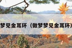 梦见金耳环（做梦梦见金耳环）