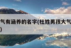 男孩大气有涵养的名字(杜姓男孩大气有涵养的名字)