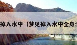 梦见掉入水中（梦见掉入水中全身湿透）