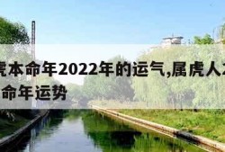 属虎本命年2022年的运气,属虎人2022本命年运势