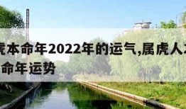 属虎本命年2022年的运气,属虎人2022本命年运势