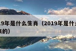 2019年是什么生肖（2019年是什么生肖来的）