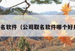 公司取名软件（公司取名软件哪个好用一点）