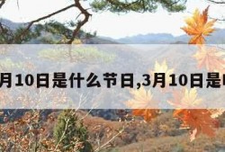 3月10日是什么节日,3月10日是啥