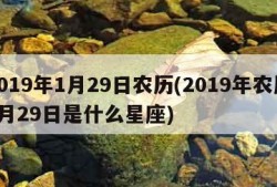 2019年1月29日农历(2019年农历1月29日是什么星座)