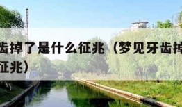 梦见牙齿掉了是什么征兆（梦见牙齿掉了一颗是什么征兆）