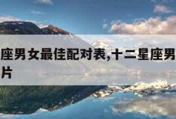 十二星座男女最佳配对表,十二星座男女配对表格图片