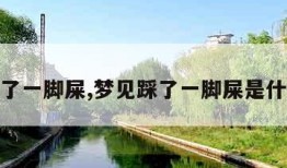 梦见踩了一脚屎,梦见踩了一脚屎是什么意思
