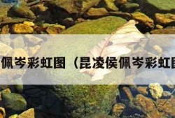 昆凌侯佩岑彩虹图（昆凌侯佩岑彩虹图壁纸）