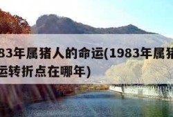 1983年属猪人的命运(1983年属猪人命运转折点在哪年)