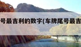 车牌尾号最吉利的数字(车牌尾号最吉利的数字7)