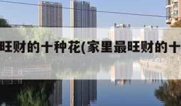家里最旺财的十种花(家里最旺财的十种花收藏)