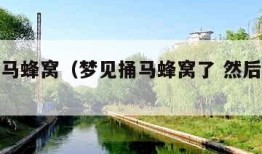 梦见捅马蜂窝（梦见捅马蜂窝了 然后吃蜂蜜）
