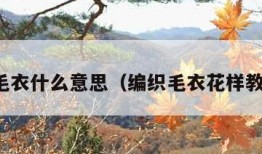 织毛衣什么意思（编织毛衣花样教程）