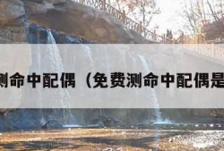 免费测命中配偶（免费测命中配偶是介绍）