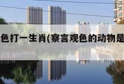 察言观色打一生肖(察言观色的动物是哪个生肖)
