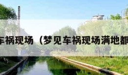 梦见车祸现场（梦见车祸现场满地都是血）