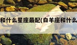 双鱼座和什么星座最配(白羊座和什么星座最配)