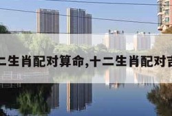 十二生肖配对算命,十二生肖配对吉凶