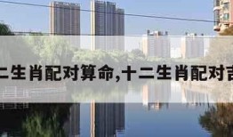 十二生肖配对算命,十二生肖配对吉凶
