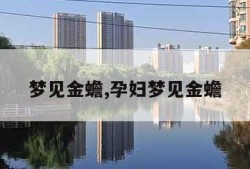 梦见金蟾,孕妇梦见金蟾