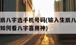 输入生辰八字选手机号码(输入生辰八字选手机号码如何看八字喜用神)