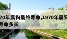1970年属狗最终寿命,1970年属狗最终寿命多长