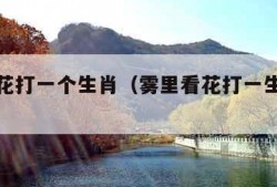 雾里看花打一个生肖（雾里看花打一生肖最佳答案）