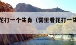 雾里看花打一个生肖（雾里看花打一生肖最佳答案）