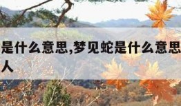 梦见蛇是什么意思,梦见蛇是什么意思有什么预兆女人