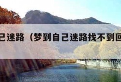 梦到自己迷路（梦到自己迷路找不到回家的路）