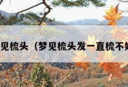 梦见梳头（梦见梳头发一直梳不好）