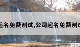 公司起名免费测试,公司起名免费测试评分