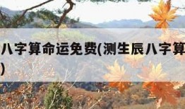 测生辰八字算命运免费(测生辰八字算命运免费软件)