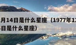 12月14日是什么星座（1977年12月14日是什么星座）