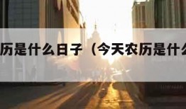 今天农历是什么日子（今天农历是什么日子?）