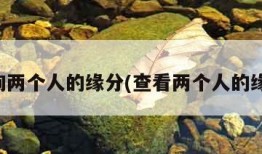 查询两个人的缘分(查看两个人的缘分)