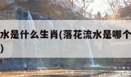 落花流水是什么生肖(落花流水是哪个生肖最佳答案)