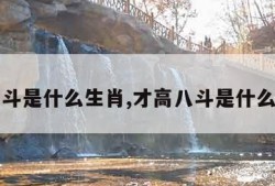 才高八斗是什么生肖,才高八斗是什么生肖啊