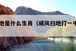 威风扫地是什么生肖（威风扫地打一中草药名）