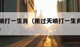 雨过天晴打一生肖（雨过天晴打一生肖动物正确答案）