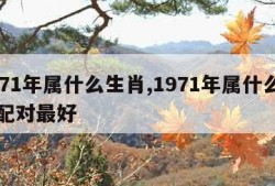 1971年属什么生肖,1971年属什么生肖配对最好