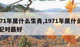 1971年属什么生肖,1971年属什么生肖配对最好
