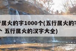 五行属火的字1000个(五行属火的字1000个 五行属火的汉字大全)