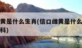 信口雌黄是什么生肖(信口雌黄是什么生肖动物七百科)
